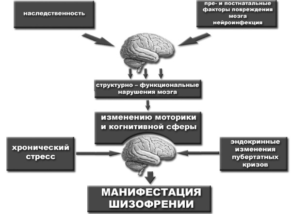 Признаки шизофрении у мужчин. Поведение, формы заболевания, обострение