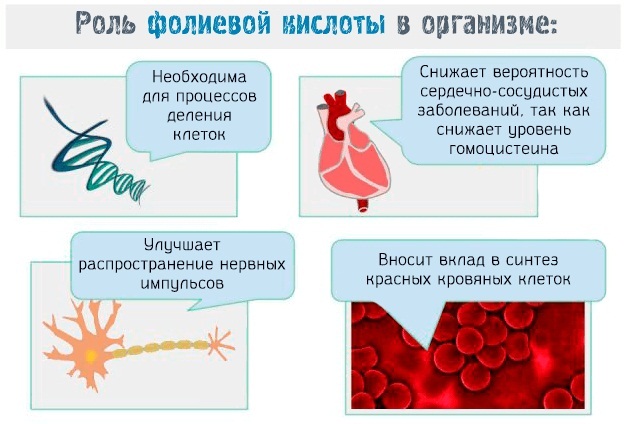 С-реактивный белок. Что это такое, норма по возрасту. Что значит повышен, отрицательный, положительный, ультрачувствительный