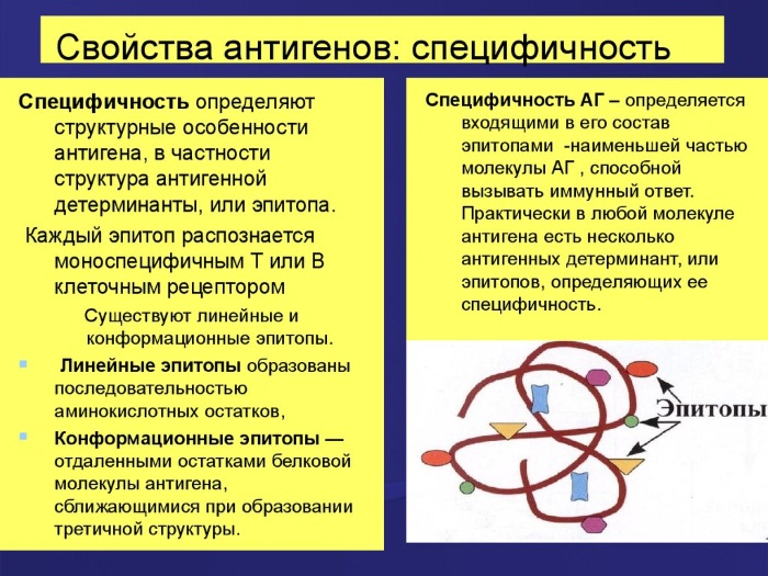 С-реактивный белок. Что это такое, норма по возрасту. Что значит повышен, отрицательный, положительный, ультрачувствительный