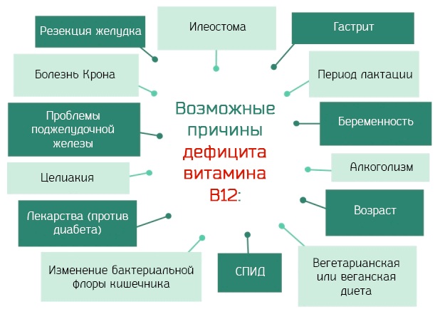 Витамин B12 в ампулах. Инструкция по применению для организма, волос, кожи. Названия, цены