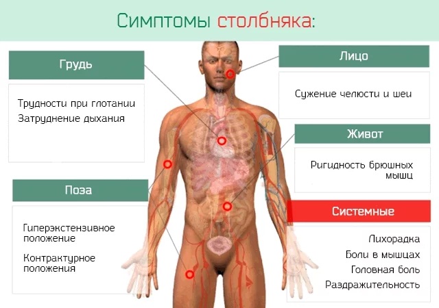 АДСМ прививка. Расшифровка взрослым, детям. Куда, от чего делают, график, последствия