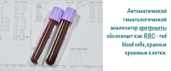 Эритроциты в крови повышены у взрослого. Причины, что значит, норма по возрасту. Таблица, обозначение