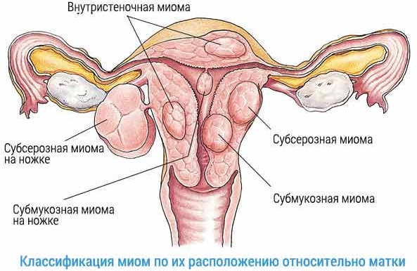 Лечебные свойства полевого хвоща, отличия от ядовитого. Применение травы в медицине и косметологии