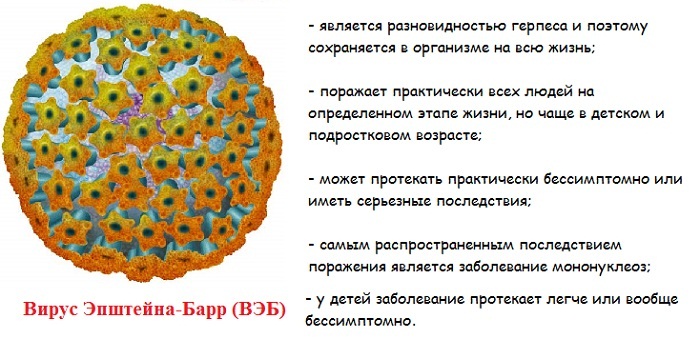 Инфекционный мононуклеоз симптомы фото