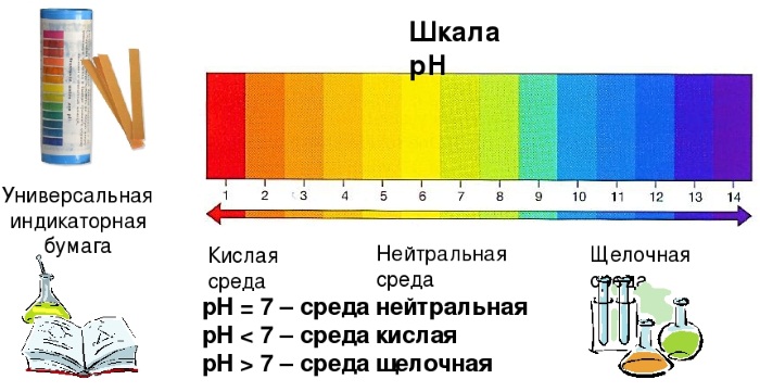 Как узнать кислотность желудка в домашних условиях у взрослых