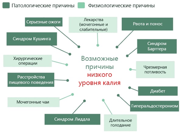 Камни в почках симптомы у женщин, причины при беременности, лечение