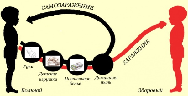 Народные средства от паразитов в организме человека. Рецепты, как готовить и принимать