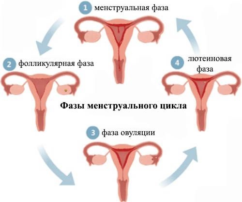 Интерстициальный узел в матке. Что это значит