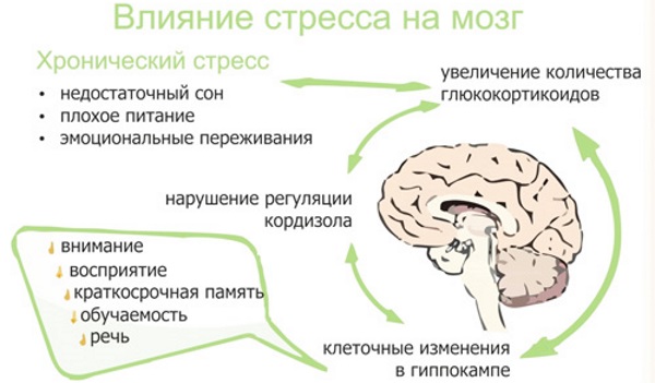 Нарушение менструационного цикла. Причины у подростков, женщин, после противозачаточных, родов, при грудном вскармливании