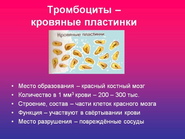 Низкий уровень тромбоцитов в крови. Причины у женщин, мужчин, детей. Чем грозит, что делать