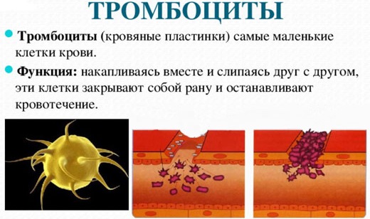 Низкий уровень тромбоцитов в крови. Причины у женщин, мужчин, детей. Чем грозит, что делать