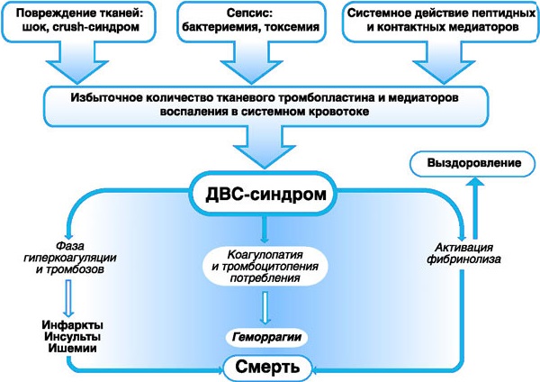 Низкий уровень тромбоцитов в крови. Причины у женщин, мужчин, детей. Чем грозит, что делать