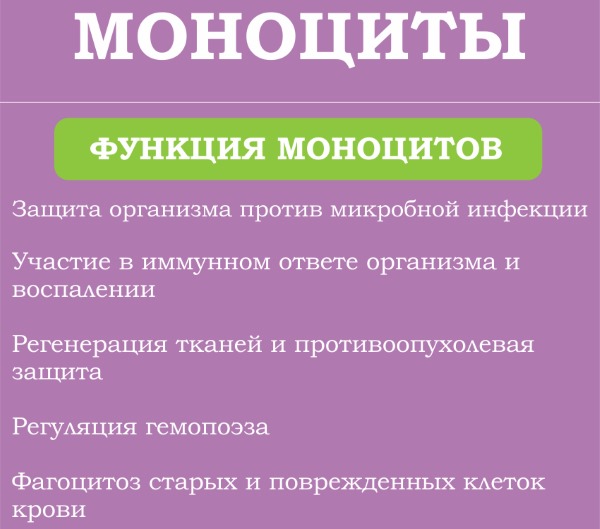 Показатели крови в норме у взрослых. Общего, биохимического, клинического, холестерин, билирубин, сахар. Расшифровка