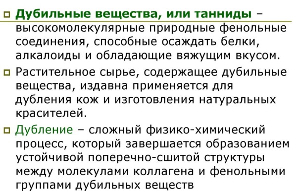 Сосновые шишки. Применение в народной медицине. Противопоказания