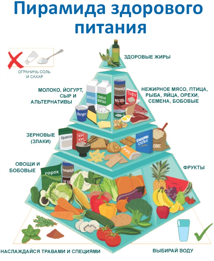 ВСД. Симптомы у взрослых, лечение. Препараты, народные средства, процедуры