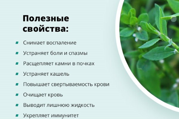 Последствия удаления желчного пузыря. Диета, физические нагрузки, что можно, какие препараты принимать