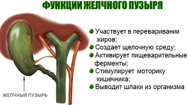 Последствия удаления желчного пузыря. Диета, физические нагрузки, что можно, какие препараты принимать