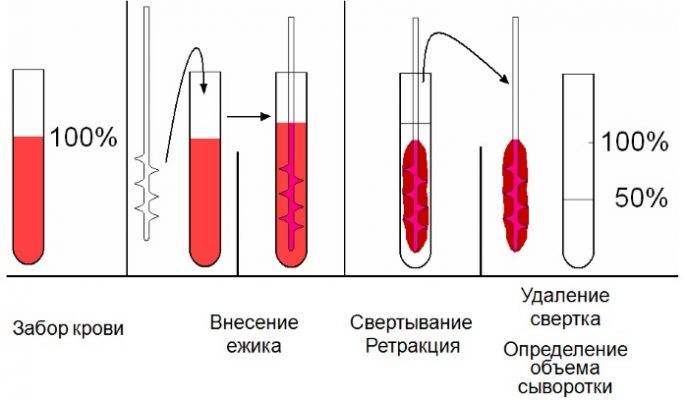 Схема свертываемости крови