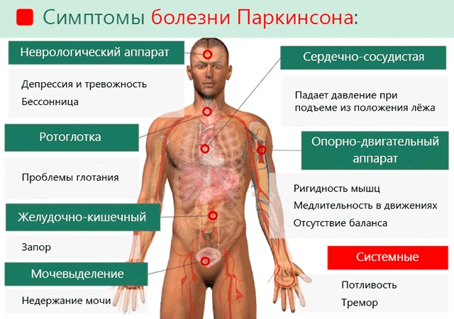 Тремор головы при волнении. Причины, как избавиться, лечение