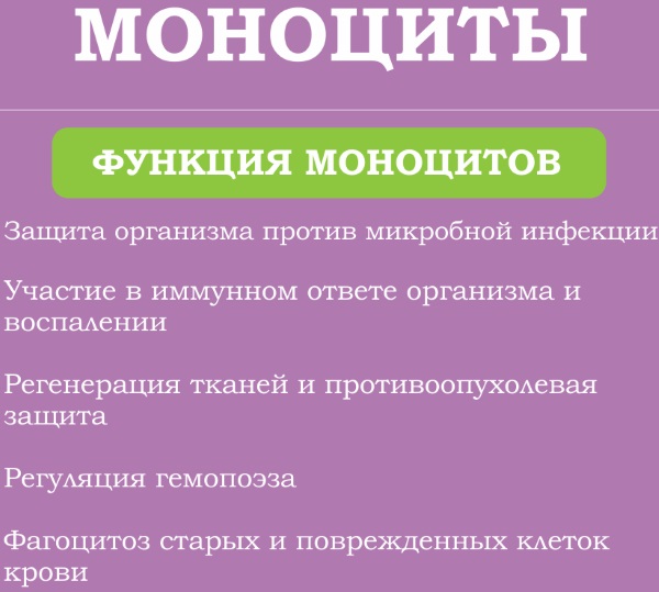 Что значат пониженные лимфоциты в крови у ребенка. Причины, болезни, лечение