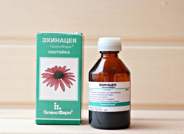 Эхинацея. Лечебные свойства, как принимать в таблетках, настойка. Противопоказания