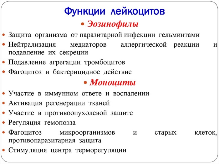 Эхинацея. Лечебные свойства, как принимать в таблетках, настойка. Противопоказания