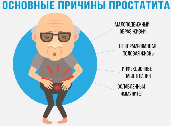 Эхинацея. Лечебные свойства, как принимать в таблетках, настойка. Противопоказания