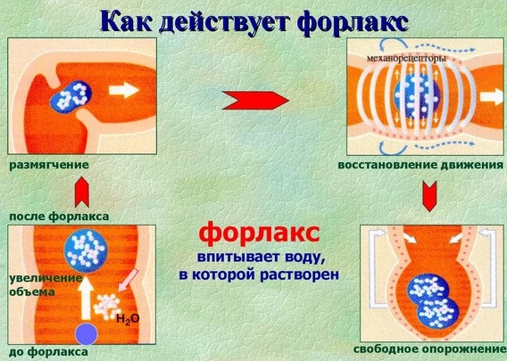 Чистка кишечника в домашних условиях без вреда для организма народными средствами