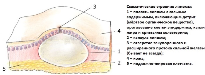 Ихтиоловая мазь. Инструкция по применению, от чего помогает, состав, цена, аналоги