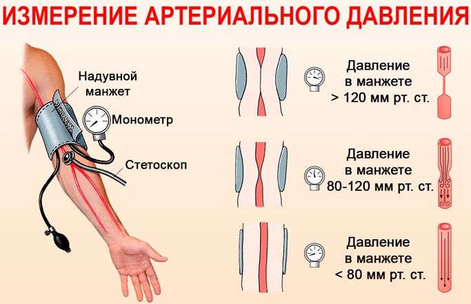 Как поднять давление в домашних условиях народные средства, препараты, пожилому человеку, женщинам при беременности