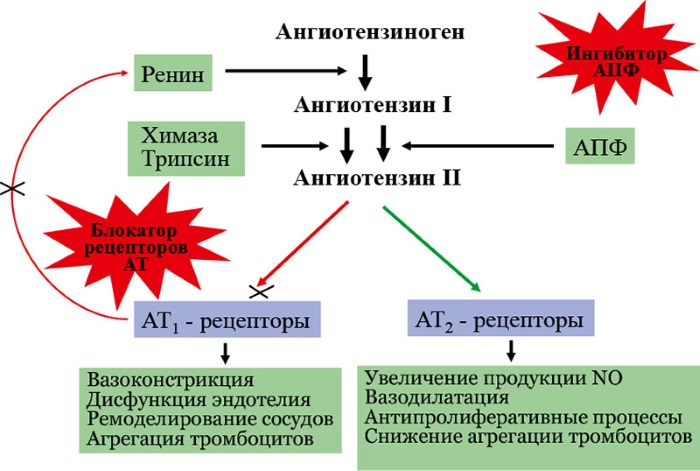 Лекарства для понижения давления. Препараты, народные средства, продукты, травы, чай. Виды, названия, цены