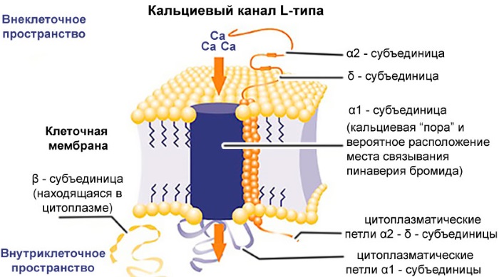 Лекарства для понижения давления. Препараты, народные средства, продукты, травы, чай. Виды, названия, цены