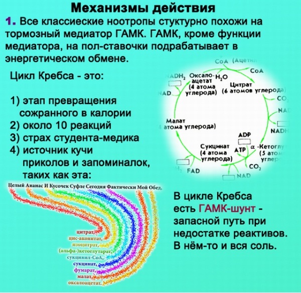 Лекарство для памяти и внимания. Как улучшить, восстановить, укрепить. Народные средства, препараты