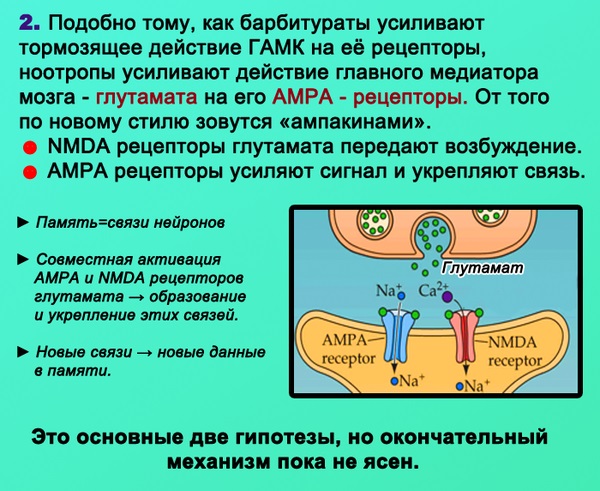 Лекарство для памяти и внимания. Как улучшить, восстановить, укрепить. Народные средства, препараты