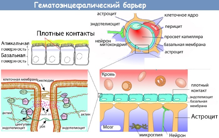 Лоратадин. Инструкция по применению. Цена, аналоги