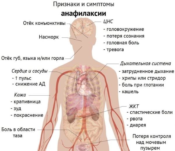 Лоратадин. Инструкция по применению. Цена, аналоги