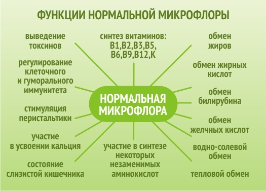 Макадамия орех. Полезные свойства, рецепты для женщин, мужчин, детей. Противопоказания