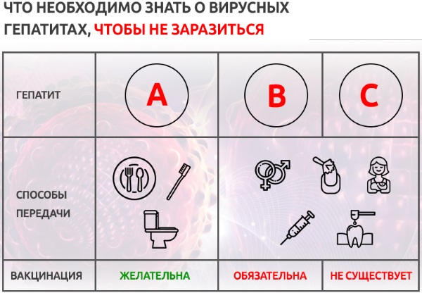 Масло расторопши. Полезные свойства, противопоказания, как принимать