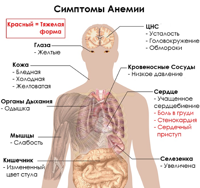 Температура 35,5 у взрослого. Причины слабости, головокружения. Как лечить