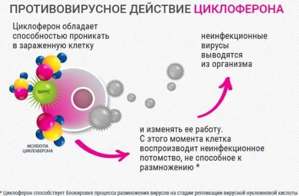 Циклоферон детям схема