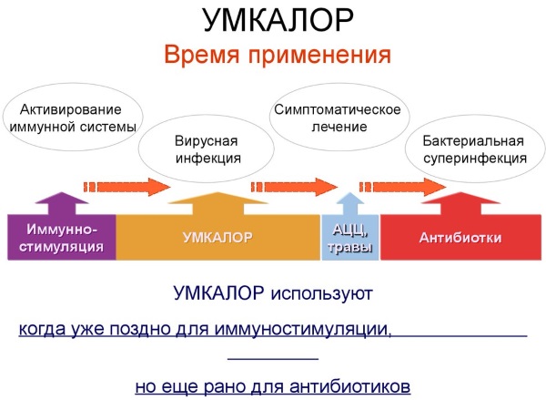 Умкалор. Инструкция по применению для детей. Цена, аналоги, отзывы