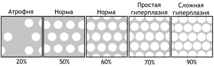 Женские болезни по гинекологии. Названия, симптомы и лечение, признаки