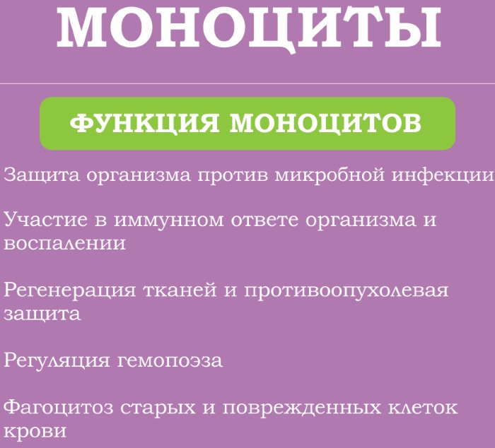 Общий анализ крови. Норма по возрасту, полу у взрослых, детей. Расшифровка результатов