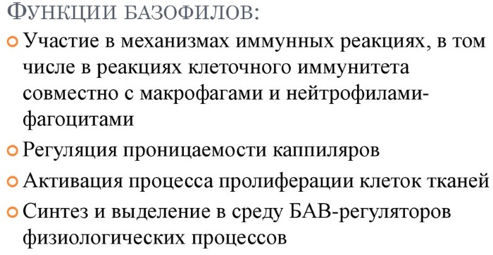 Общий анализ крови. Норма по возрасту, полу у взрослых, детей. Расшифровка результатов