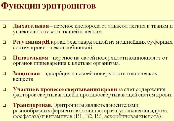 Общий анализ крови. Норма по возрасту, полу у взрослых, детей. Расшифровка результатов