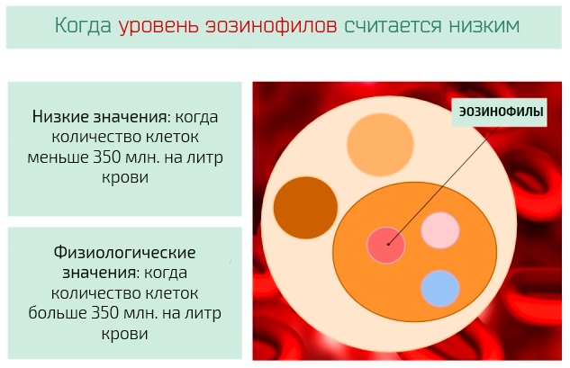 Эозинофильный катионный белок повышен. Норма, что это значит, что делать