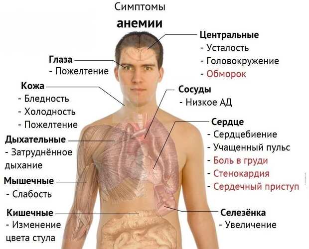 Как остановить кровь из носа у ребенка после удара, при температуре. Причины, рекомендации врачей