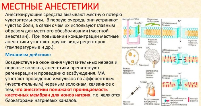 Мази для обезболивания кожи. Названия, составы, цены, особенности применения