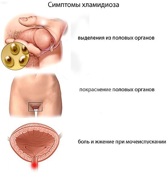 Панцеф. Инструкция по применению (суспензия, таблетки). Цена, отзывы, аналоги