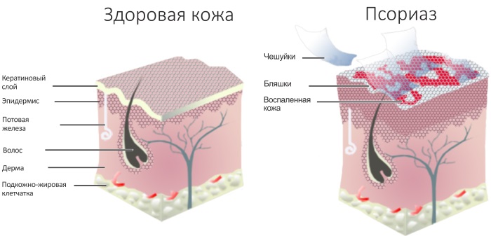 Ретинола пальмитат. Что это, инструкция по применению витамина в косметологии, медицине. Цена